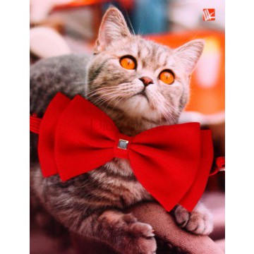 Свадебная бабочка «Красная» для кошки и собаки