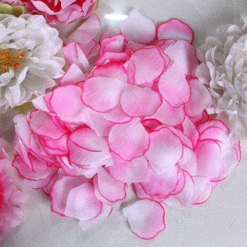 Розовые лепестки роз с окантовкой (300 шт.)
