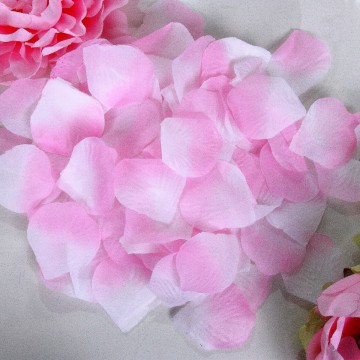 Бело-розовые лепестки роз (300 шт.)