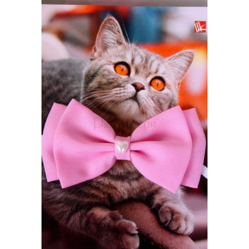Свадебная бабочка «Розовая» для кошек и собак