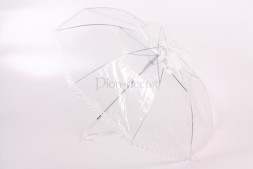 Оригинальный прозрачный зонт