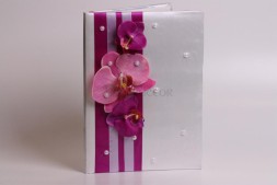 Папка Орхидеи