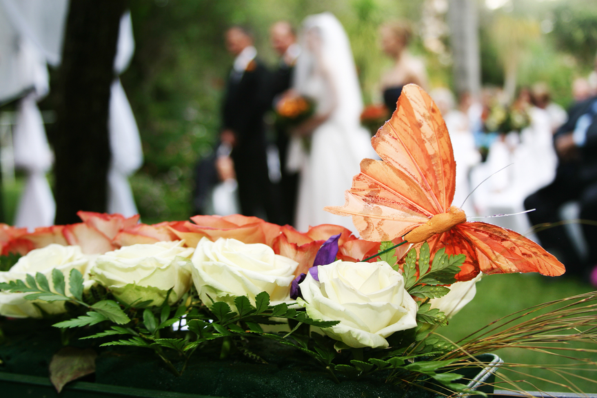 Свадебный декор бабочки
