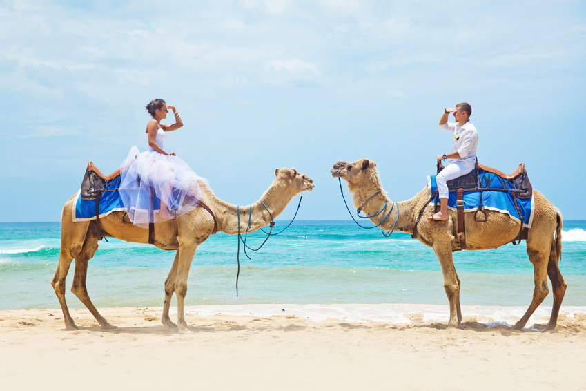Идеи для тематической свадьбы - свадьба на верблюдах