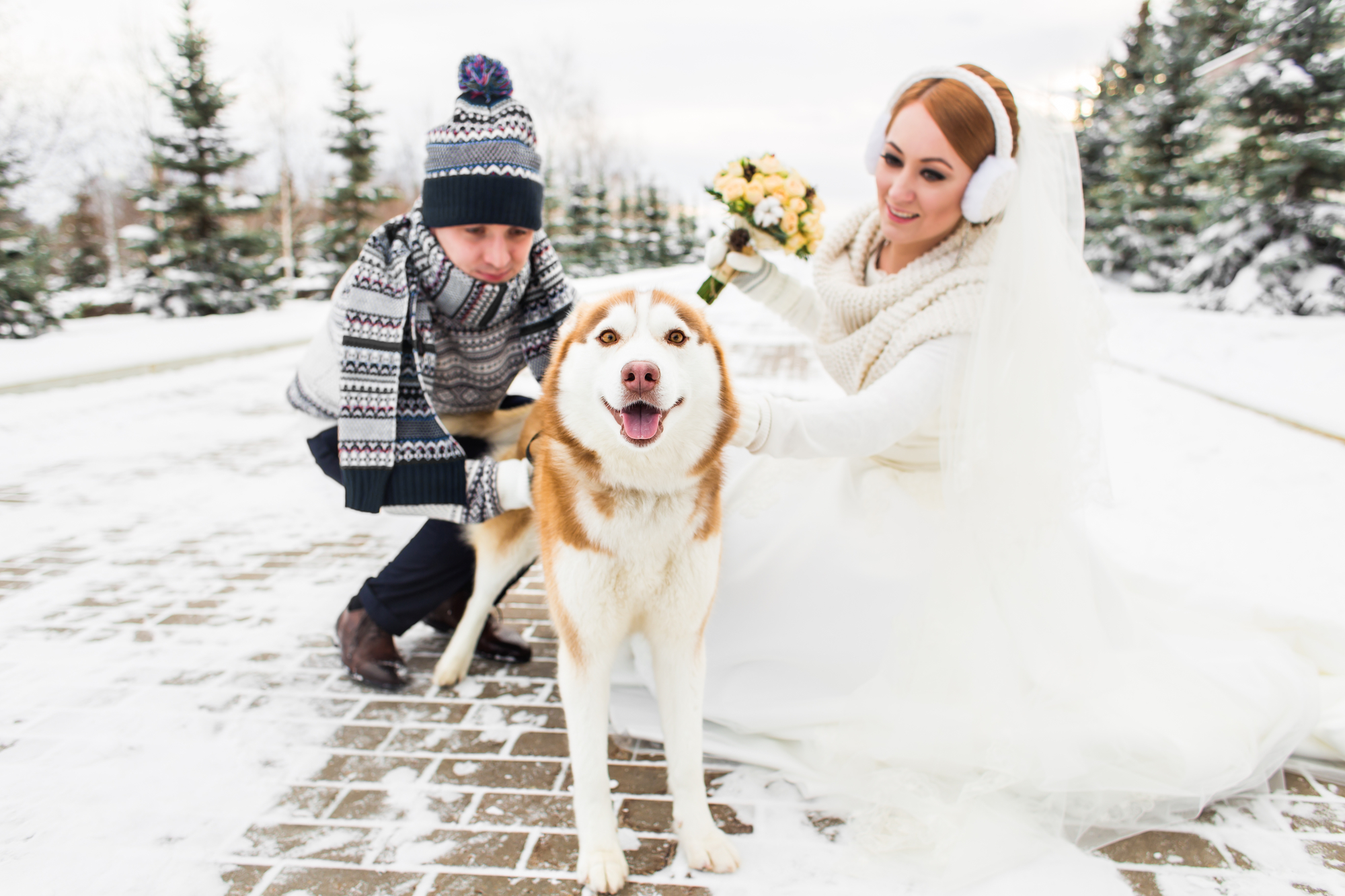 Свадебная зимняя фотосессия с собакой