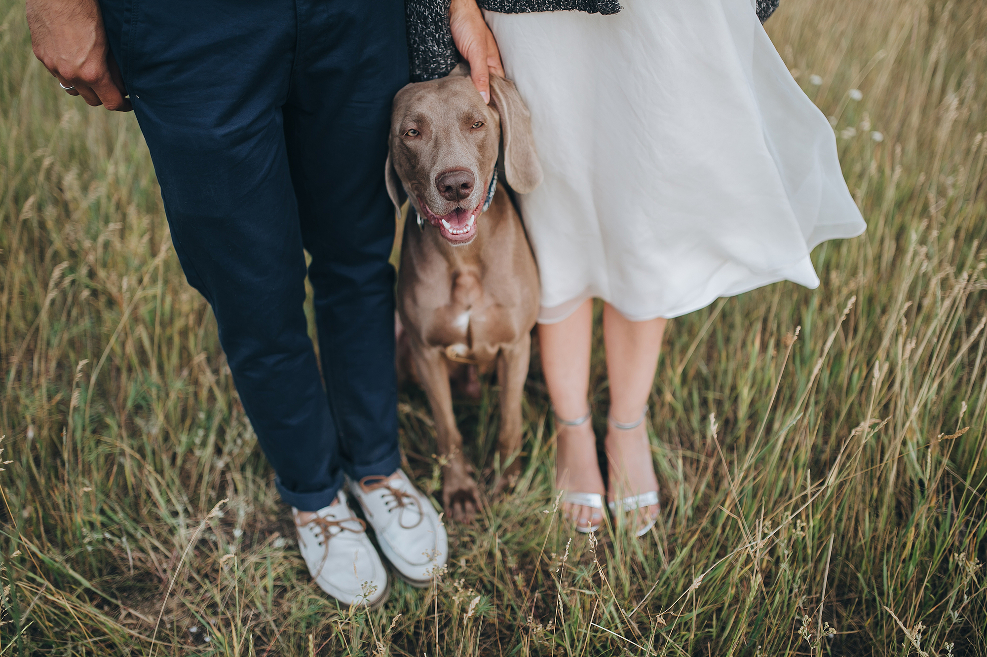 Фотосессия с собакой на свадьбе-2020